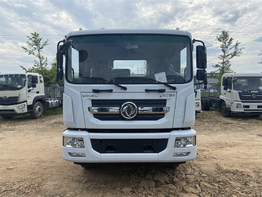 東風D9（3950，康明斯230）國六 內飾照片圖