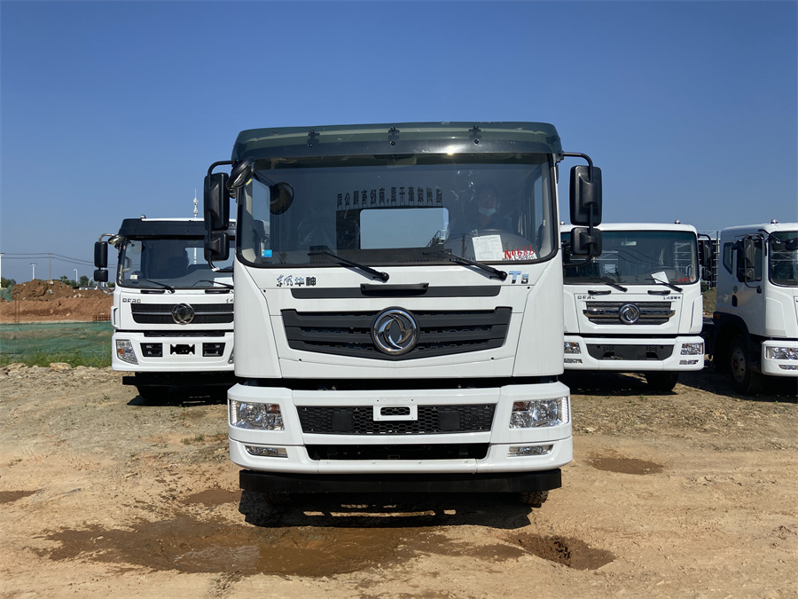 東風T5（后雙橋，玉柴260）國六 內飾照片圖